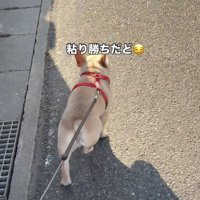 公園への切符をゲット