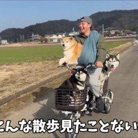 サーカスのような光景に…！！
