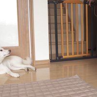 飼い主さんは2階へ