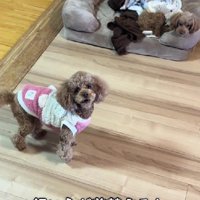 着替えを始めると…