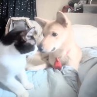 距離が縮まってきたふたり