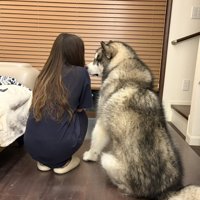 後ろ姿