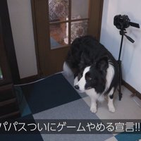 「ゲームやめます！」と宣言するパパさん