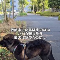 パパに気付いてくれるかな？