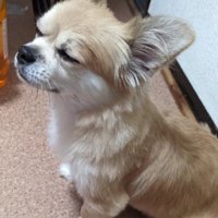 幸せで満ち足りた表情に