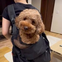 まるで合成みたい♪