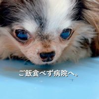 健康トラブルも抱えていた