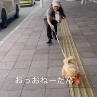 全力でお姉ちゃんの元へ！