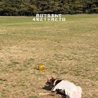 4年がたった現在は…？