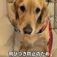 まるちゃんとママさんの再会3