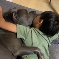 男の子と抱きしめあって眠る犬