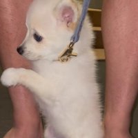 困ったような表情