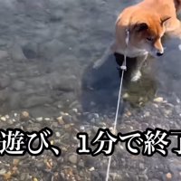 上がりたいのに、怖くて動けない…