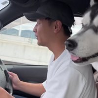 車の中でワガママが止まらない