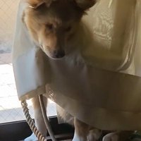 今回も被害者面（笑）