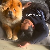 眠っている男性の隣に寄り添う犬