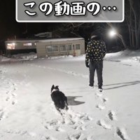 こっそりほふく前進！