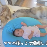 結局ママの抱っこでお昼寝♡