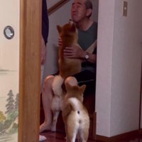 「僕だけのおじいちゃん！」