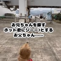乗り口をじっと見つめる犬
