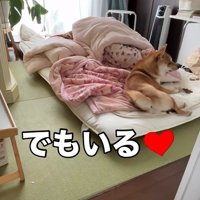 結局、そばにいてくれます♡