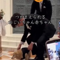 飼い主さんのお迎え
