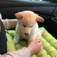 緊張していたのに…