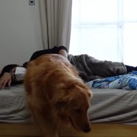 体調不良時のよもぎちゃん＆だいず君の対応9