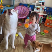 ロッキーくんと赤ちゃんの音楽会3
