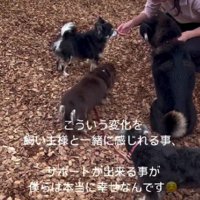 嬉しさと楽しさを見つけよう