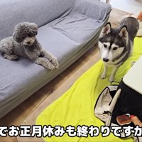 仲良しな4兄妹♡