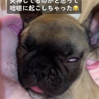 独特すぎる寝顔