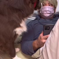 これは許しちゃう♪