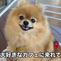 楽しくてニッコリ♪