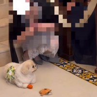 「今はなんか気が向かないかも」