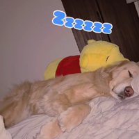 なおも起きないメルちゃん