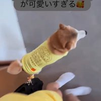 忠太くんの熱烈歓迎⑩