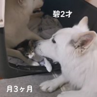 本当の親子のよう！？
