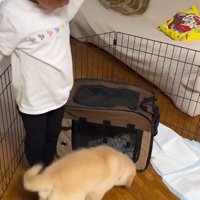 ラニーちゃんをよける男の子