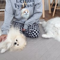 ふれあいタイム♪