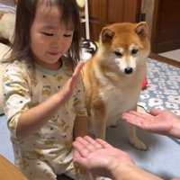 手遊びを見るすずちゃん1