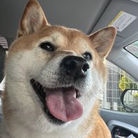 お迎え