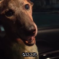 「すごく寂しかったよ～！」