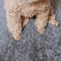 ゴミ捨てから戻ったら…
