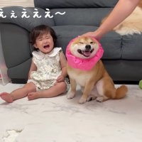 ほのちゃんがヤキモチ！？
