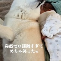 ひっくり返るカナちゃん