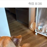 仕事
