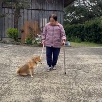 心配したけれど…
