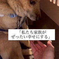 おふとん君の変化4