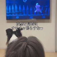 「ピー」
